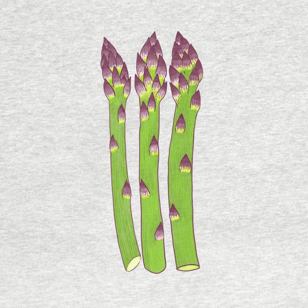 asparagus by terastar